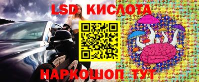 дмт Малгобек