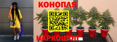 дмт Малгобек