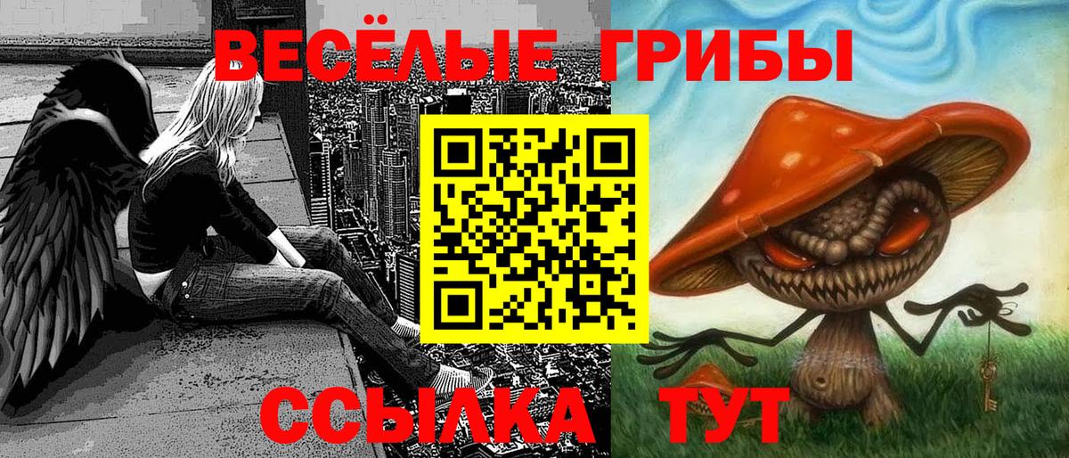 Галлюциногенные грибы Cubensis  Вход с VPN  Дзержинский 
